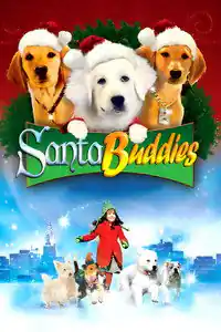 Noel Patileri izle