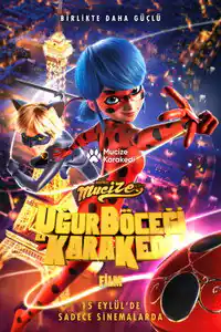 Mucize: Uğur Böceği ile Kara Kedi izle