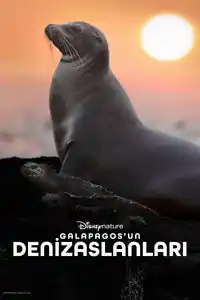 Galapagos'un Denizaslanları izle