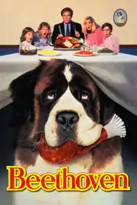 Afacan Köpek Beethoven izle