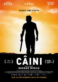 Köpekler izle