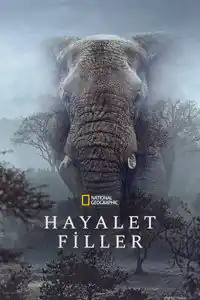Hayalet Filler izle